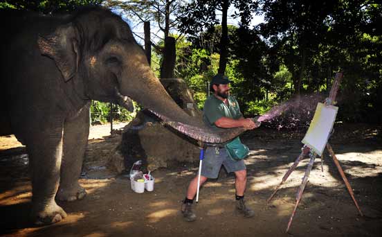 Elephant artist Elephant artist