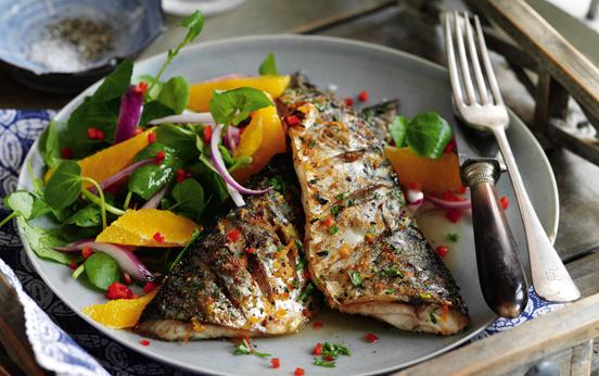 mackerel mackerel