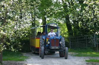 Days out: Healey's Cornish Cyder Farm