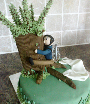 Your birthday cakes Your birthday cakes