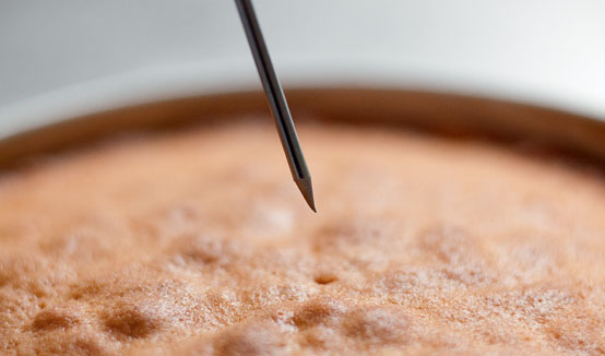 victoria sponge victoria sponge