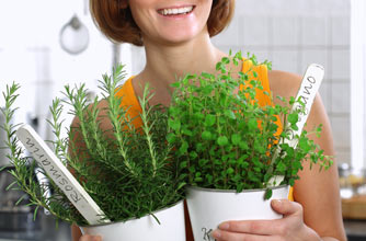 Herb and spices grown Herb and spices grown