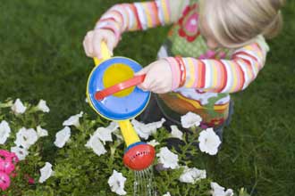 Watering garden Watering garden