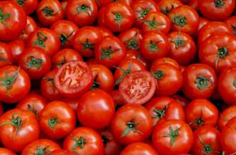 Tomatoes Tomatoes