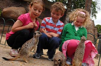Things to do this weekend: Days out