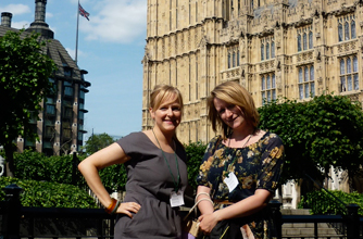 housesofparliamentteaparty