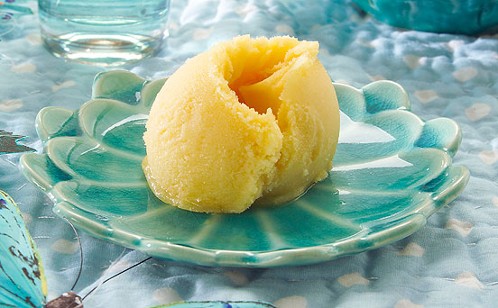 sorbet sorbet