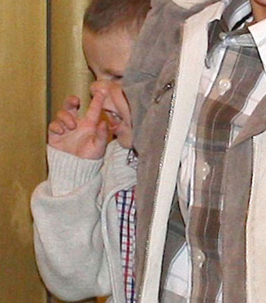 The Beckham family album: 2008 The Beckham family album: 2008