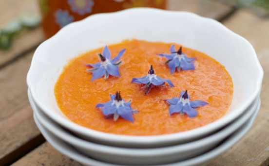 soup soup