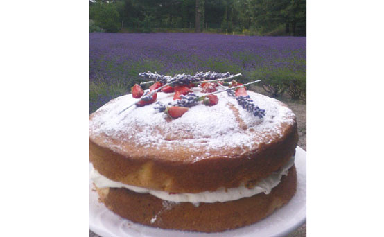 Strawberry and lavender sponge cake Strawberry and lavender sponge cake