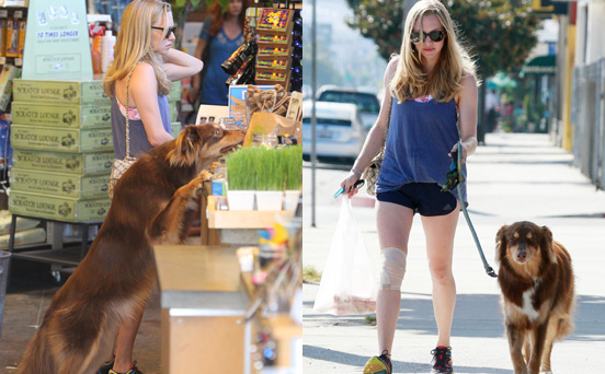 Amanda Seyfried Amanda Seyfried