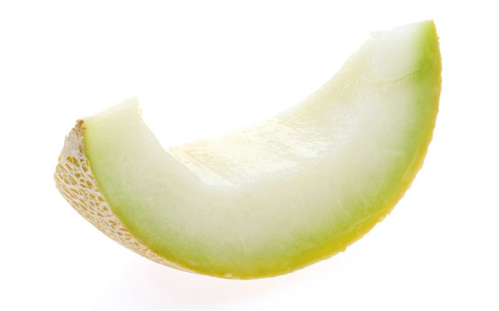 Melon Slice