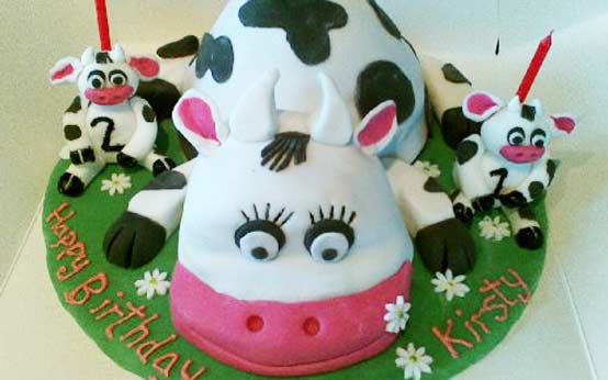 Cow cake Cow cake
