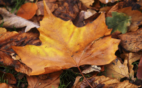 20 reasons why we love autumn!