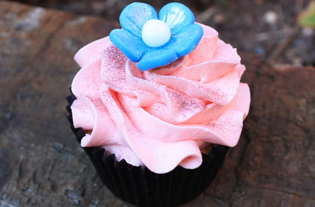 Holly Bell cupcakes Holly Bell cupcakes