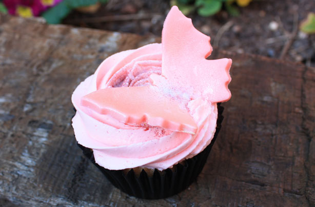 Holly Bell cupcakes Holly Bell cupcakes