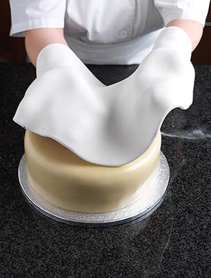 Woman's Weekly's Cake Of The Century Woman's Weekly's Cake Of The Century
