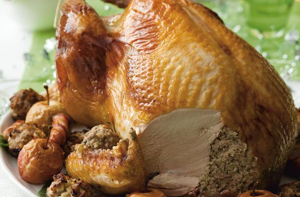 Chrismas turkey