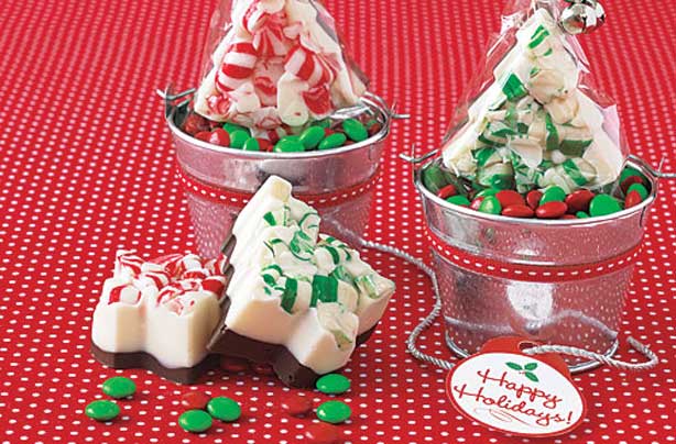 Peppermint bark trees Peppermint bark trees
