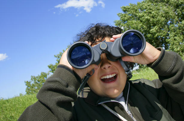 Children bird watching