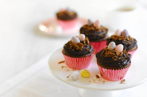 Chocolate cupcakes