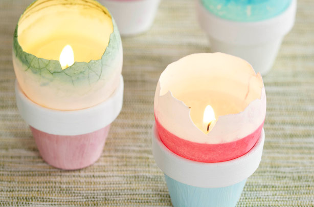 Egg shell cups