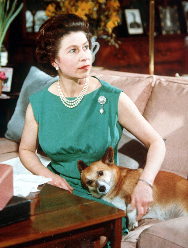 The Queen: 1969 The Queen: 1969