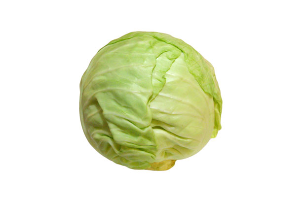 Cabbage Cabbage