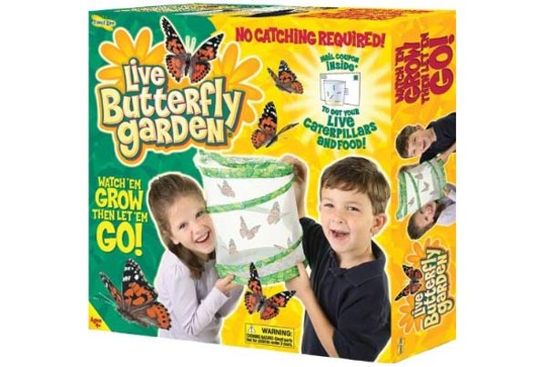 50 outdoor toys for summer: Insect Lore butterfly garden 50 outdoor toys for summer: Insect Lore butterfly garden