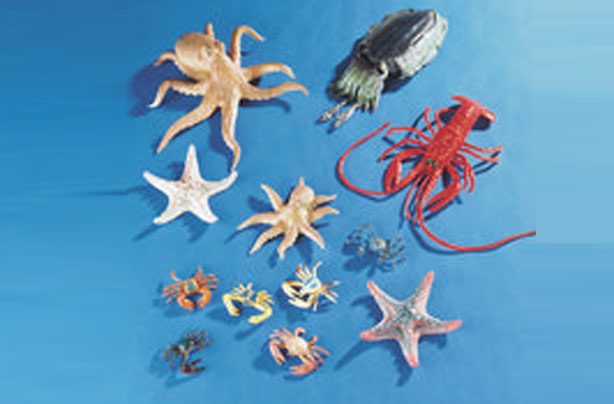 50 outdoor toys for summer: Sealife set 50 outdoor toys for summer: Sealife set