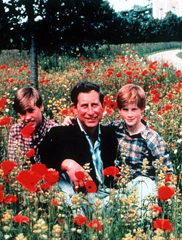 Prince William: 1994 Prince William: 1994