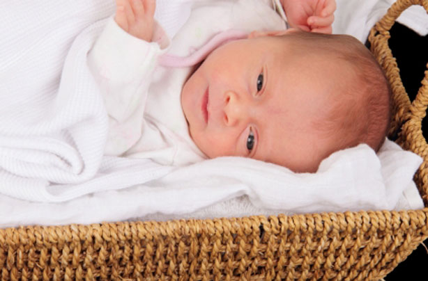 Baby in a Moses basket Baby in a Moses basket