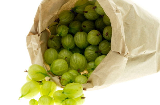 Gooseberries