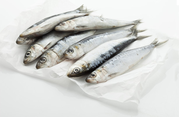 Fatty fish boosts sun protection Fatty fish boosts sun protection
