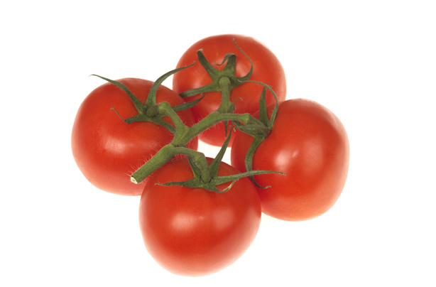 Tomatoes boost sun protection Tomatoes boost sun protection