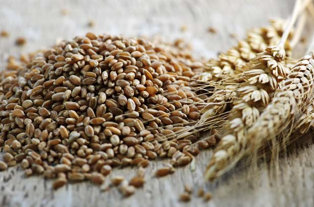 Wholegrains Wholegrains