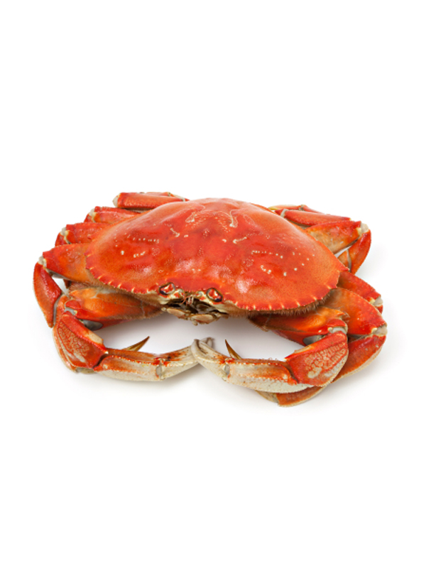 Crab Crab
