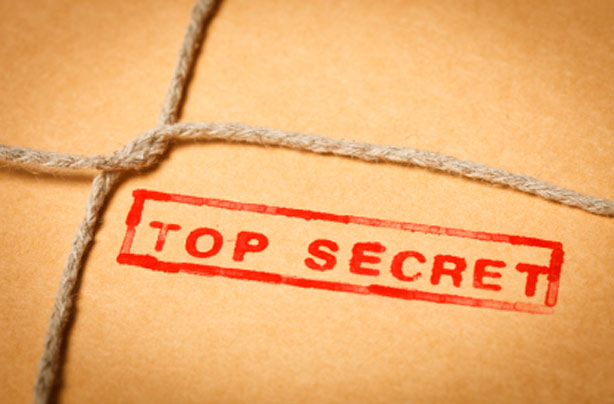 Top secret teenage blog