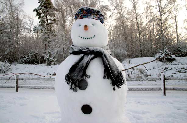 Snowman Snowman