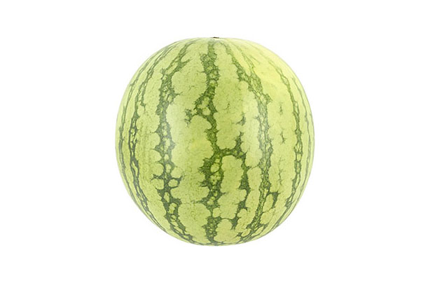 Watermelon Watermelon