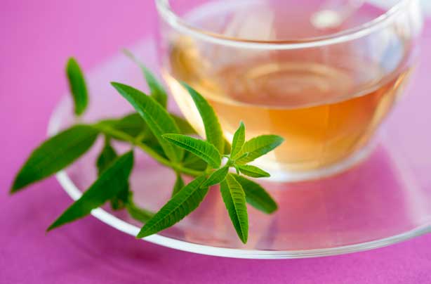 Herbal tea Herbal tea