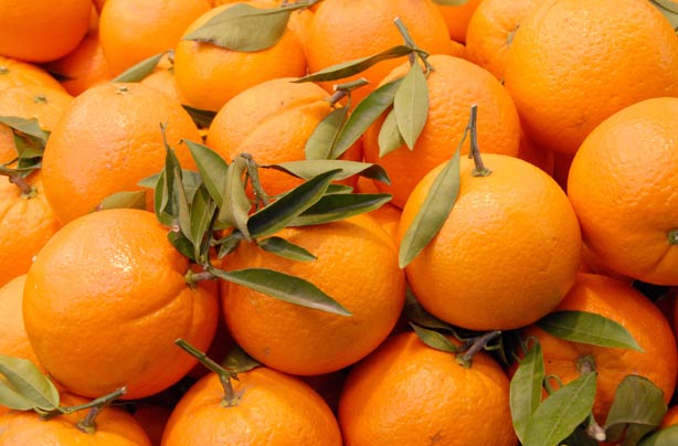 Orange Orange