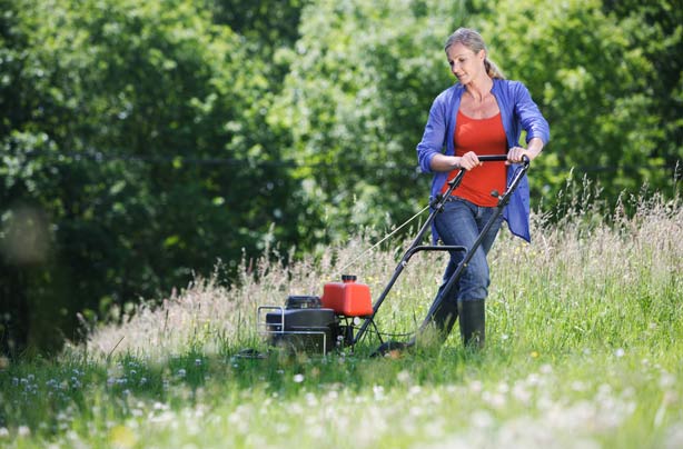Lawn mowing Lawn mowing