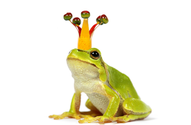 Frog-with-crown-on