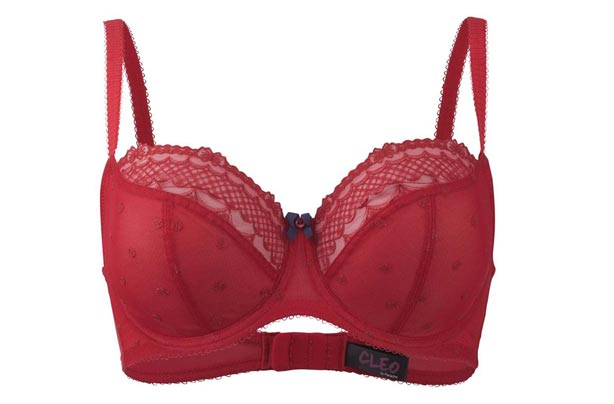 Best bras for big boobs Best bras for big boobs