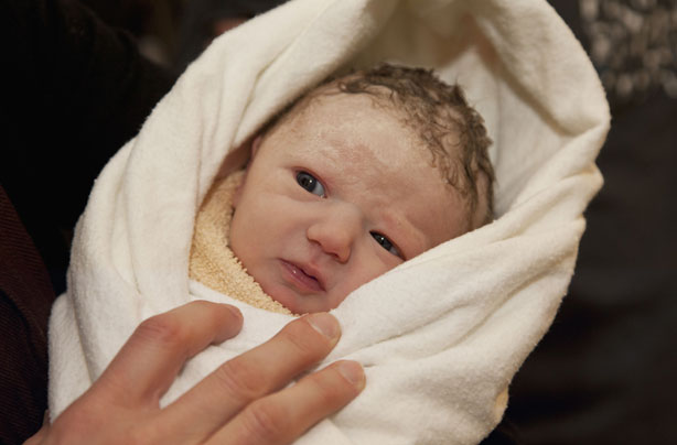 newborn baby girl newborn baby girl