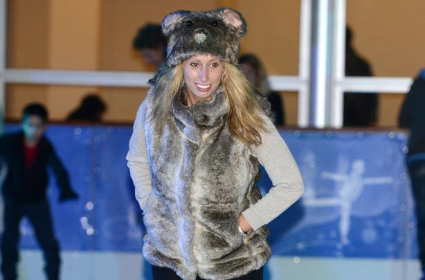 Ice rinks 2012: