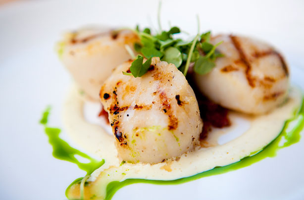 Scallops with basil oil cream