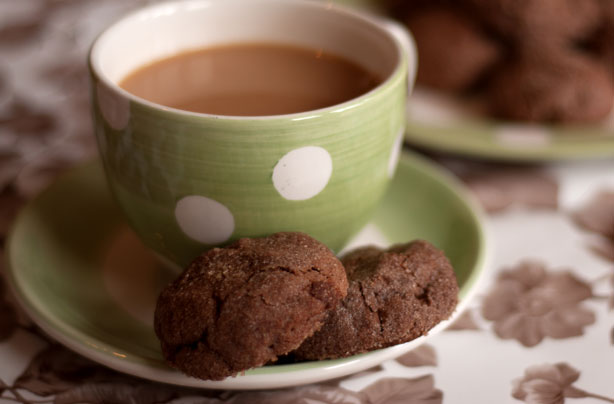 Chocolate Snickerdoodles