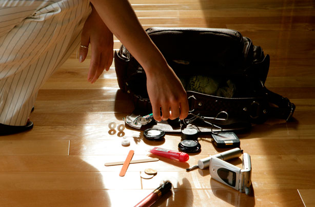 makeup and handbag makeup and handbag